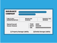 Driver’s License-1: Front